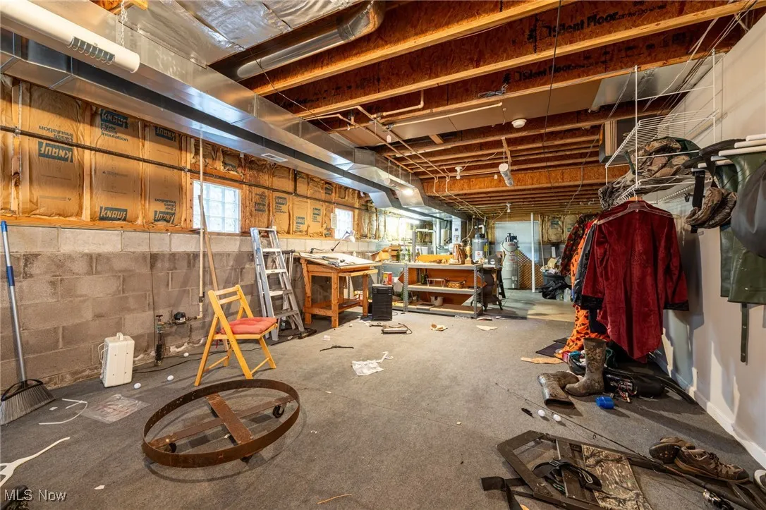 Basement featuring a workshop area