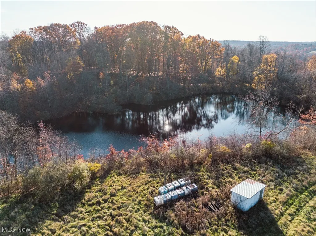 2971 Bedford Road, Lowellville, Ohio 44436,MLS Now Listing ID