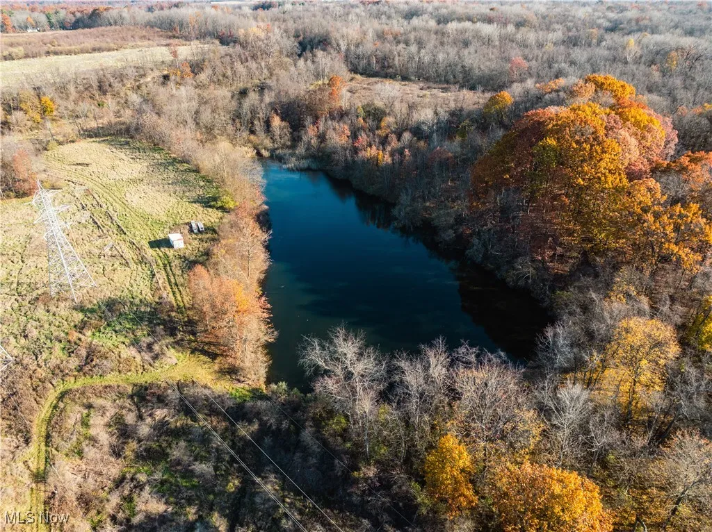 2971 Bedford Road, Lowellville, Ohio 44436,MLS Now Listing ID