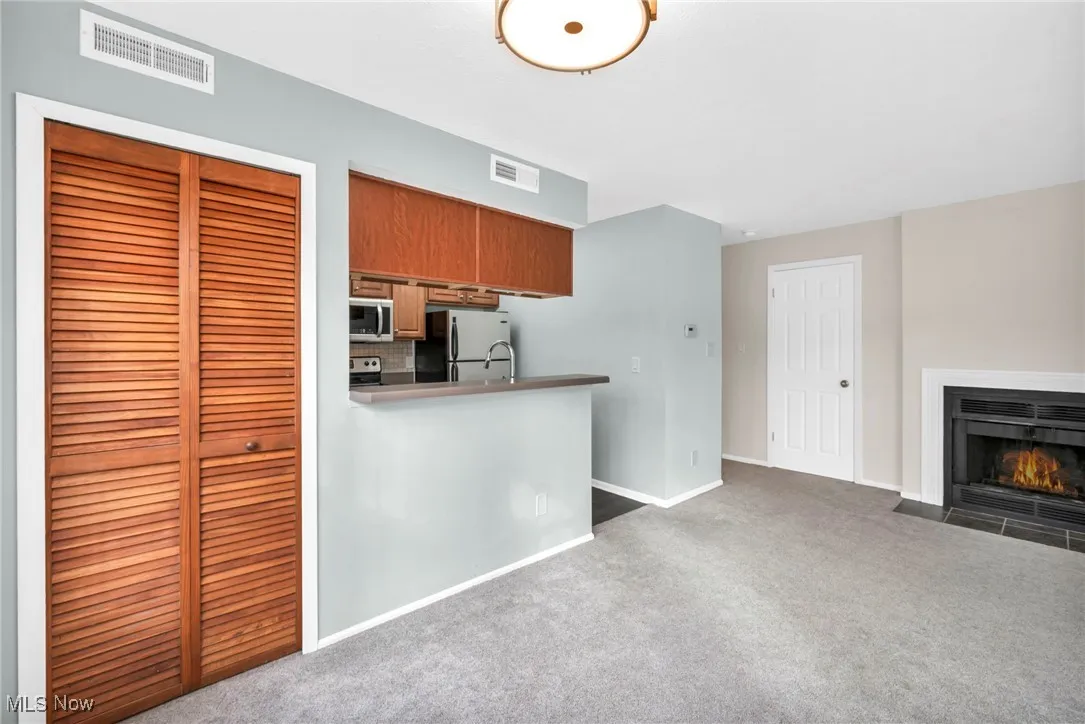 Kitchen with stainless steel appliances, brown cabinetry, carpet floors, a fireplace with flush hearth, and a peninsula