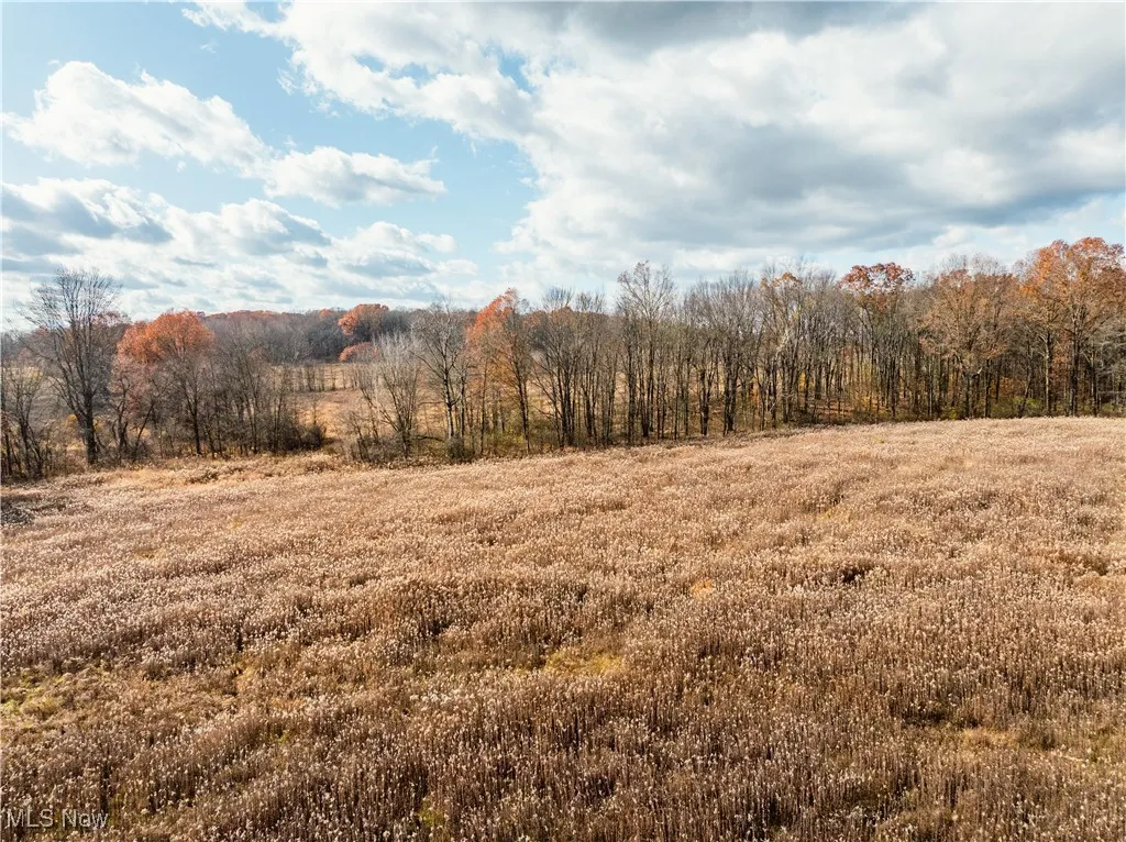 1520 Bedford Road, Lowellville, Ohio 44436,MLS Now Listing ID