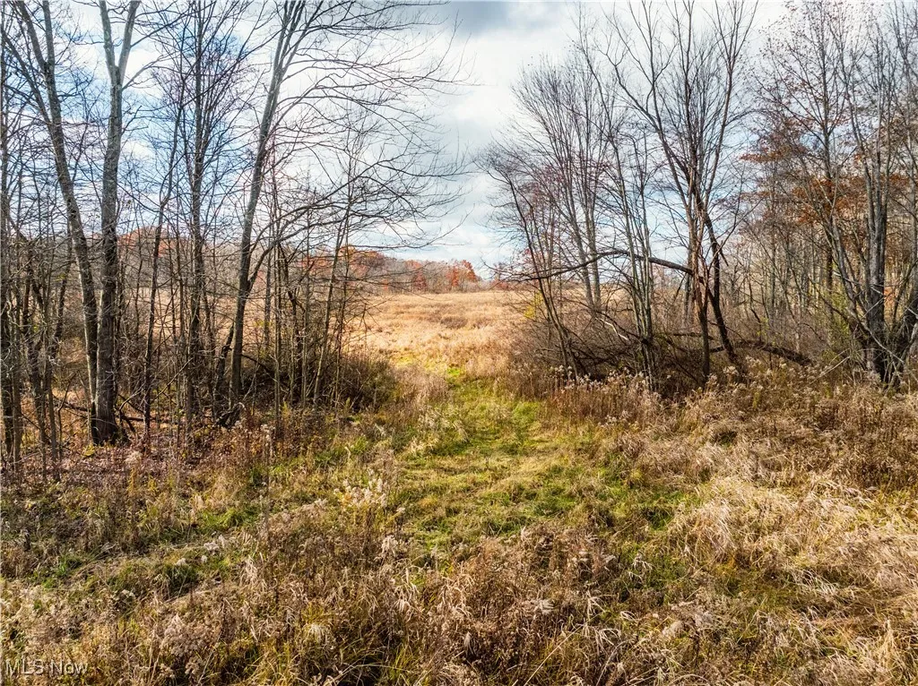 1520 Bedford Road, Lowellville, Ohio 44436,MLS Now Listing ID