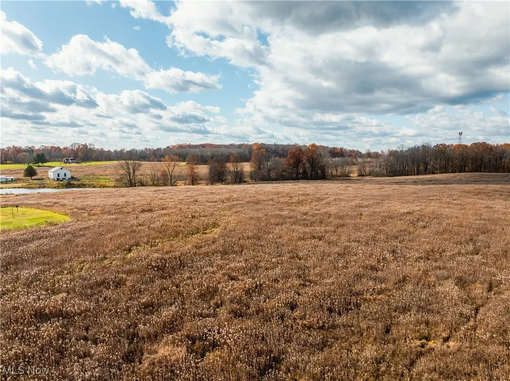 1520 Bedford Road, Lowellville, Ohio 44436,MLS Now Listing ID