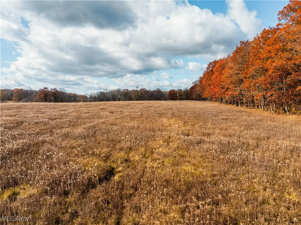 1520 Bedford Road, Lowellville, Ohio 44436,MLS Now Listing ID