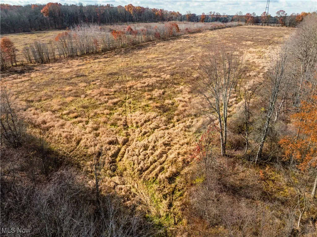 1520 Bedford Road, Lowellville, Ohio 44436,MLS Now Listing ID