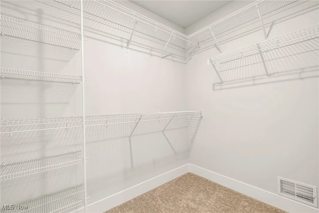 Walk in closet with carpet flooring