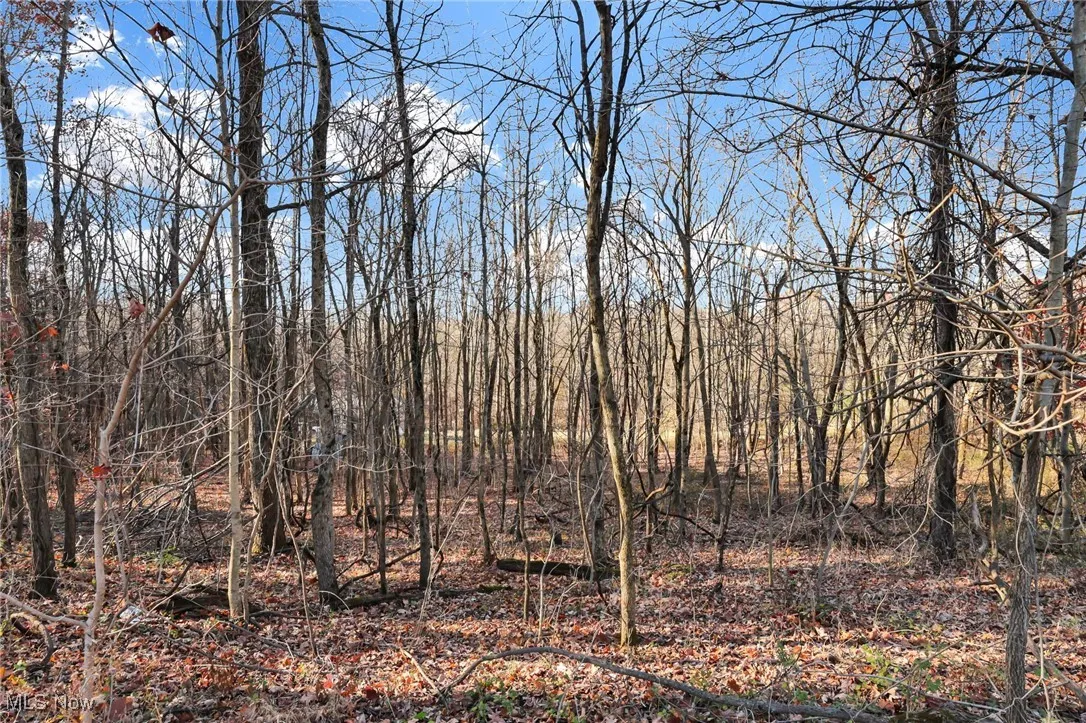 Mulberry Road, Mount Perry, Ohio 43760,MLS Now Listing ID