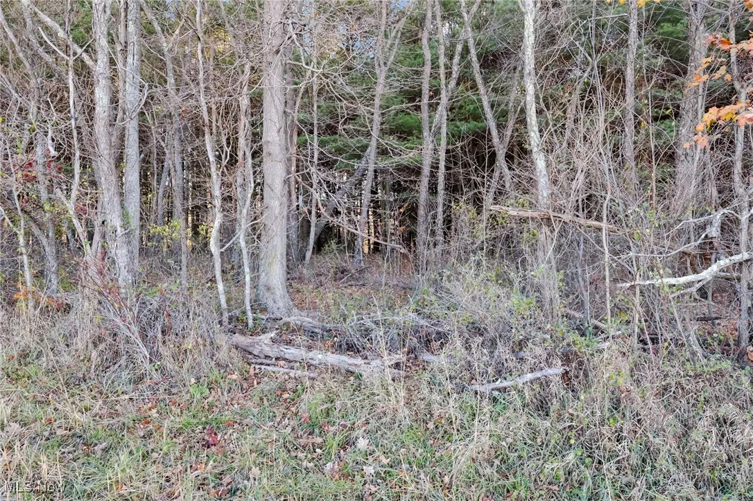 Mulberry Road, Mount Perry, Ohio 43760,MLS Now Listing ID