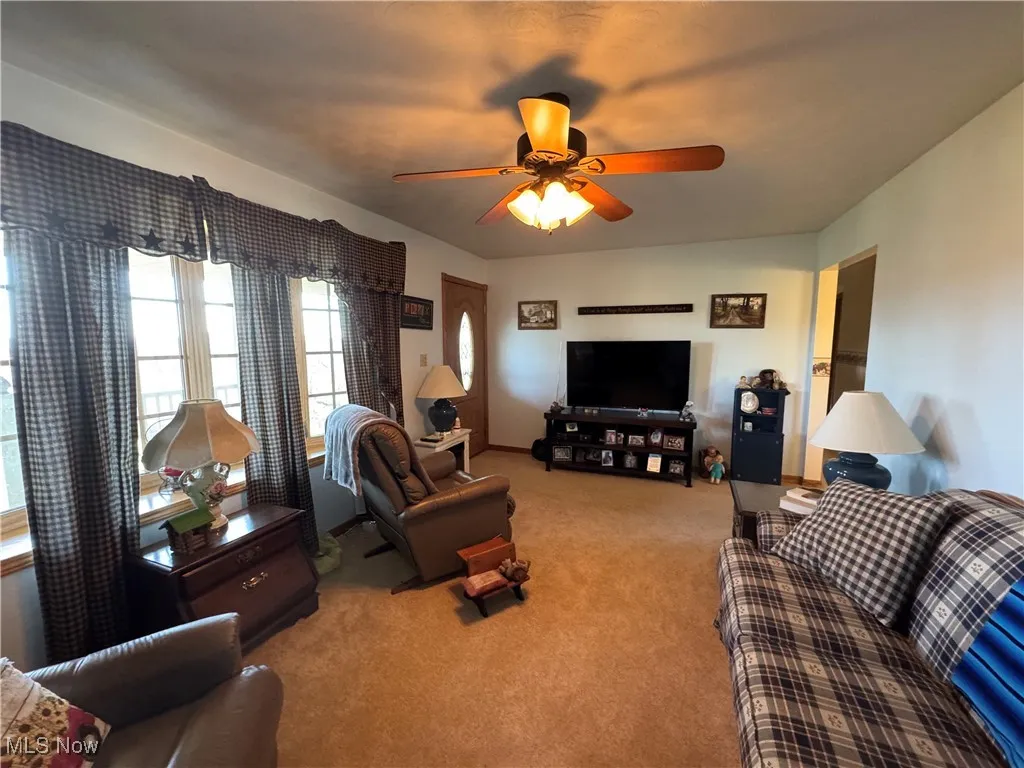 Living area with light carpet and ceiling fan
