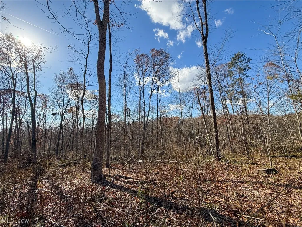 View of undeveloped land