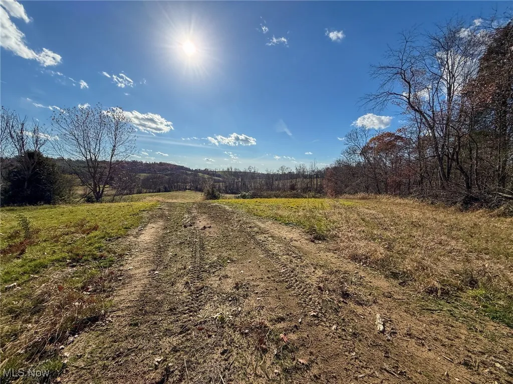 View of dirt / gravel road