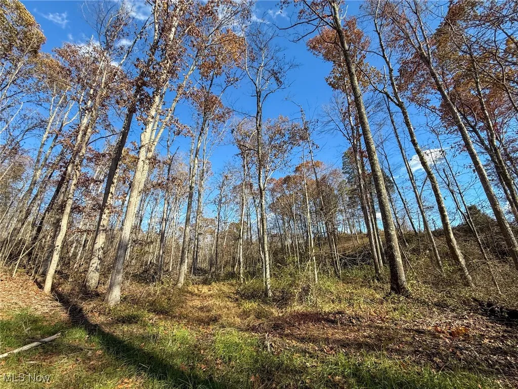 View of nature