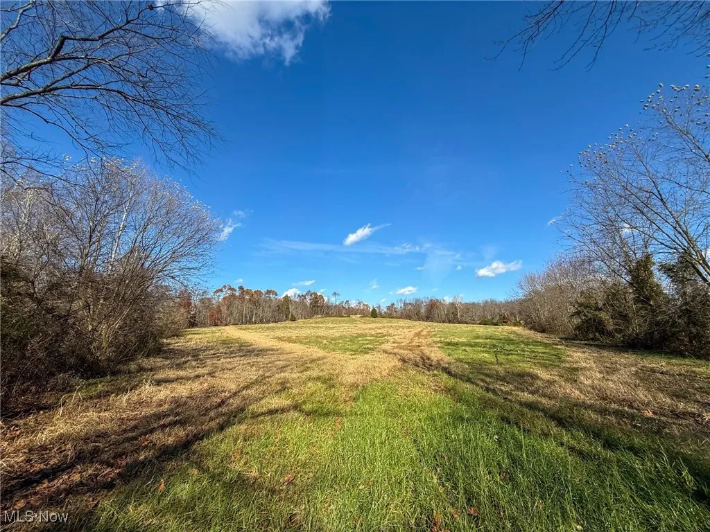 View of local wilderness