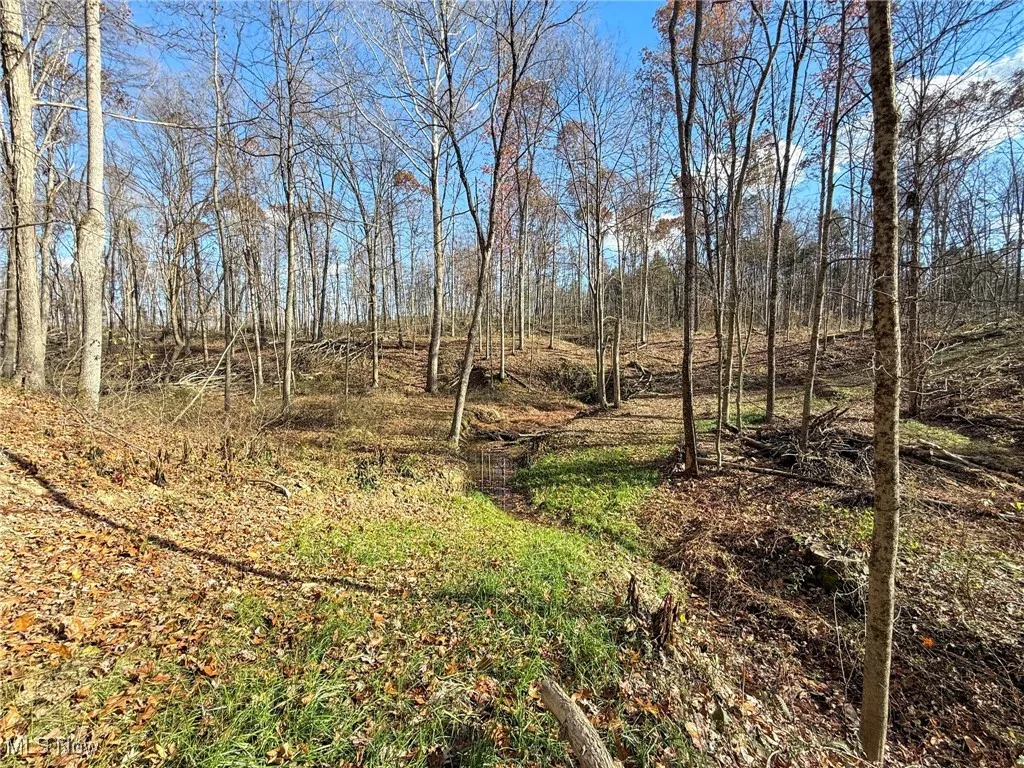 View of undeveloped land