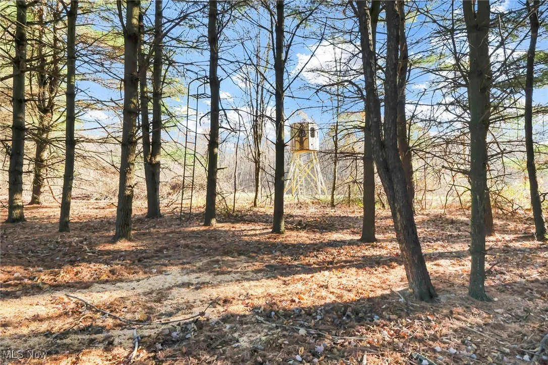 Mulberry Road, Mount Perry, Ohio 43760,MLS Now Listing ID