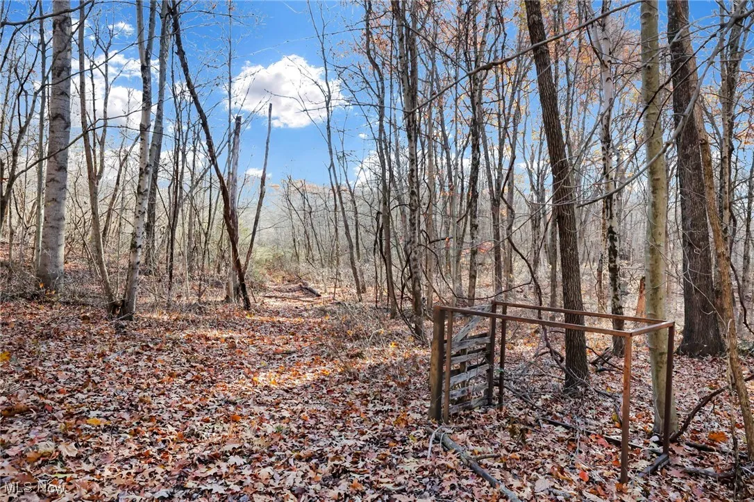 Mulberry Road, Mount Perry, Ohio 43760,MLS Now Listing ID