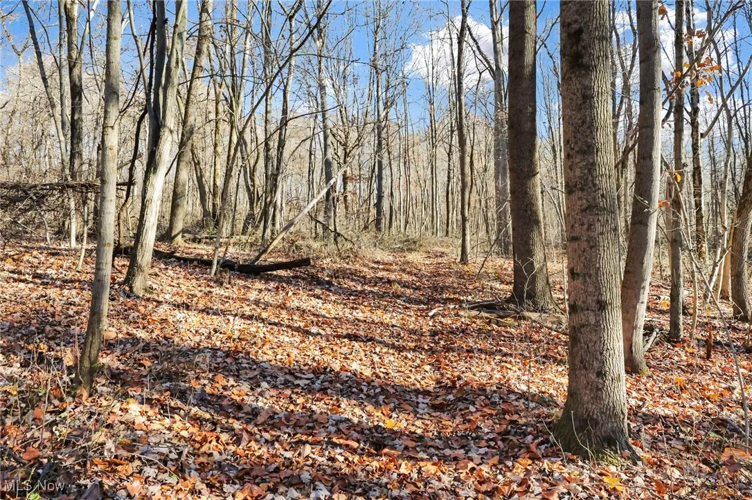 Mulberry Road, Mount Perry, Ohio 43760,MLS Now Listing ID