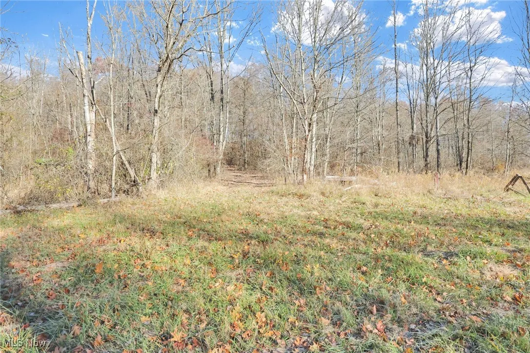 Mulberry Road, Mount Perry, Ohio 43760,MLS Now Listing ID