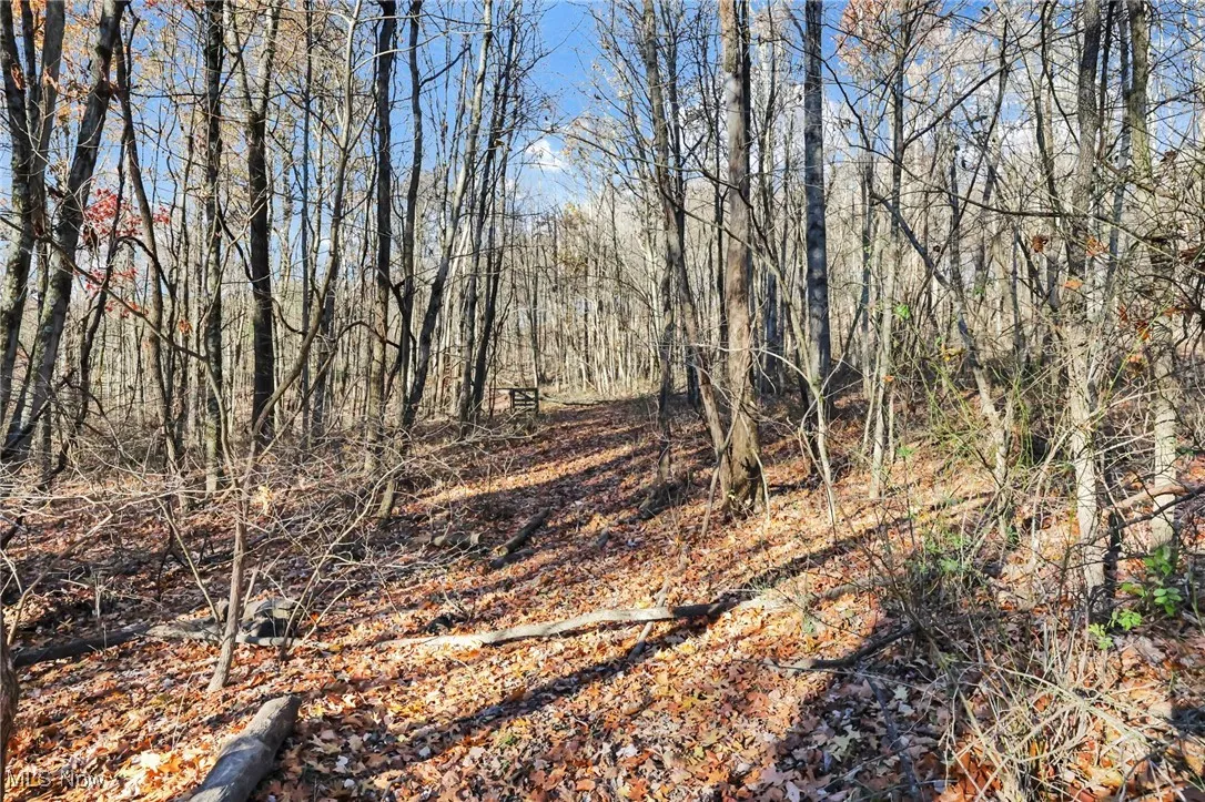 Mulberry Road, Mount Perry, Ohio 43760,MLS Now Listing ID