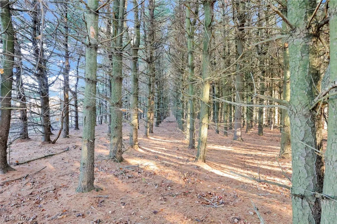 Mulberry Road, Mount Perry, Ohio 43760,MLS Now Listing ID