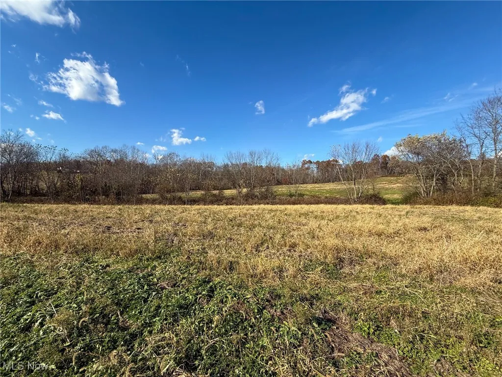 View of local wilderness with rural landscape