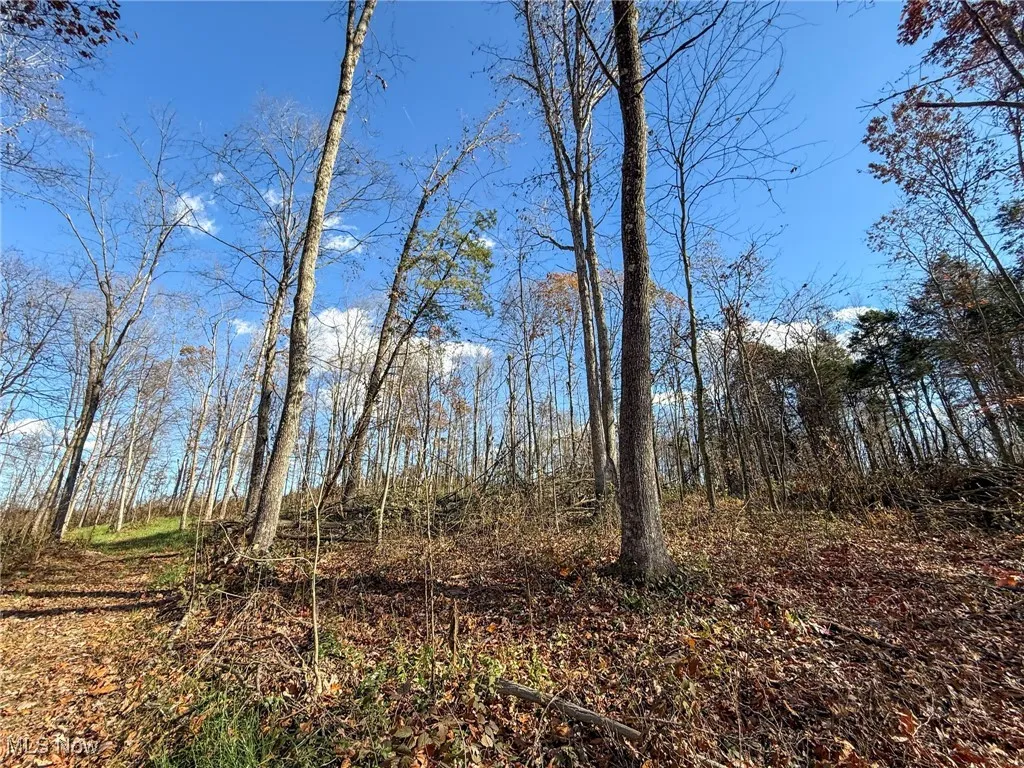 View of undeveloped land