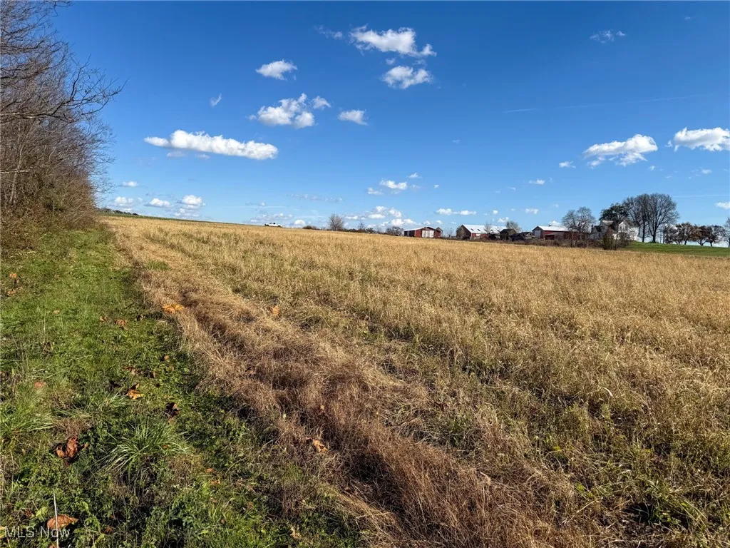 View of local wilderness featuring rural landscape