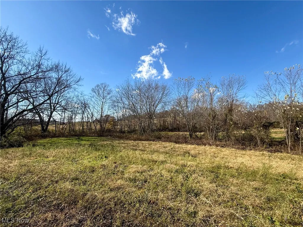 View of yard featuring a view of rural / pastoral area