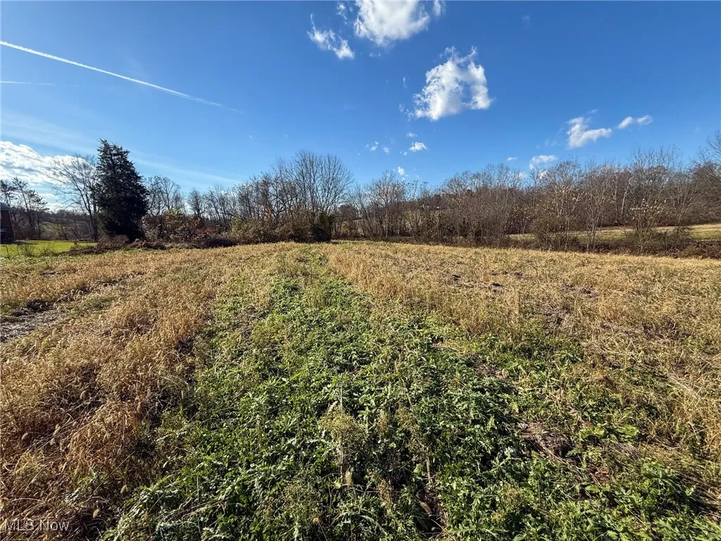 View of undeveloped land featuring rural landscape