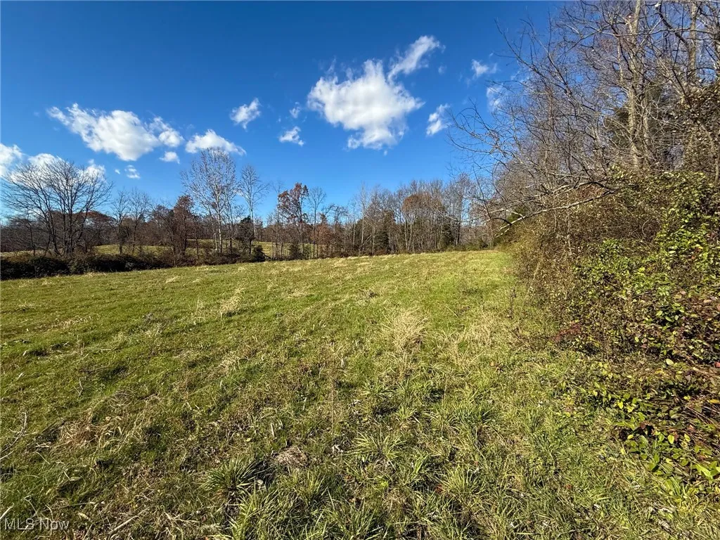 View of local wilderness