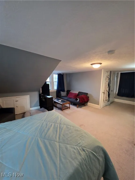 Carpeted bedroom with a textured ceiling