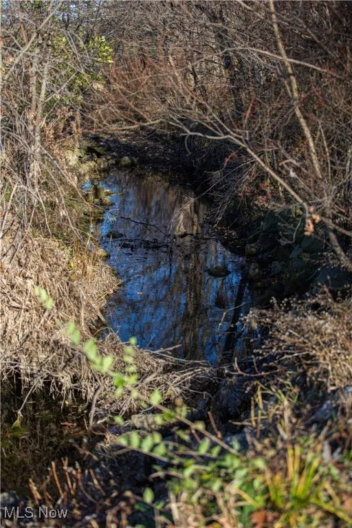 View of undeveloped land