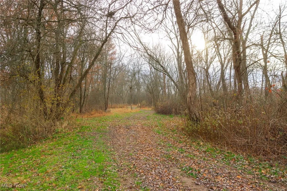 12160 Harvey Circle, Marshallville, Ohio 44645,MLS Now Listing ID