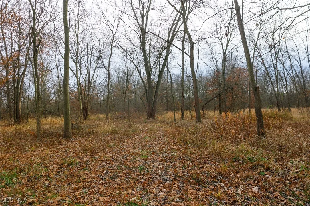 12160 Harvey Circle, Marshallville, Ohio 44645,MLS Now Listing ID