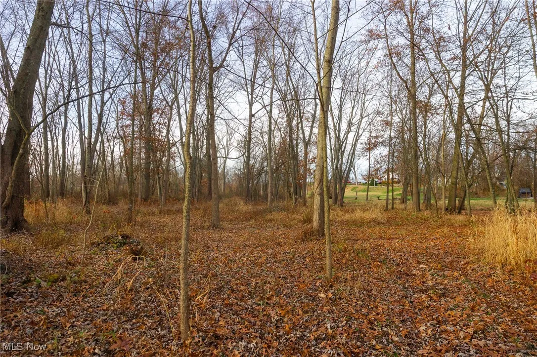 12160 Harvey Circle, Marshallville, Ohio 44645,MLS Now Listing ID