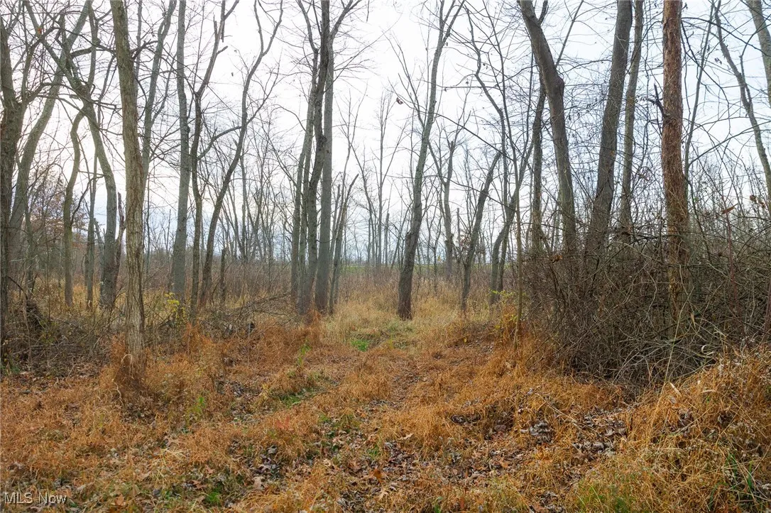 12160 Harvey Circle, Marshallville, Ohio 44645,MLS Now Listing ID