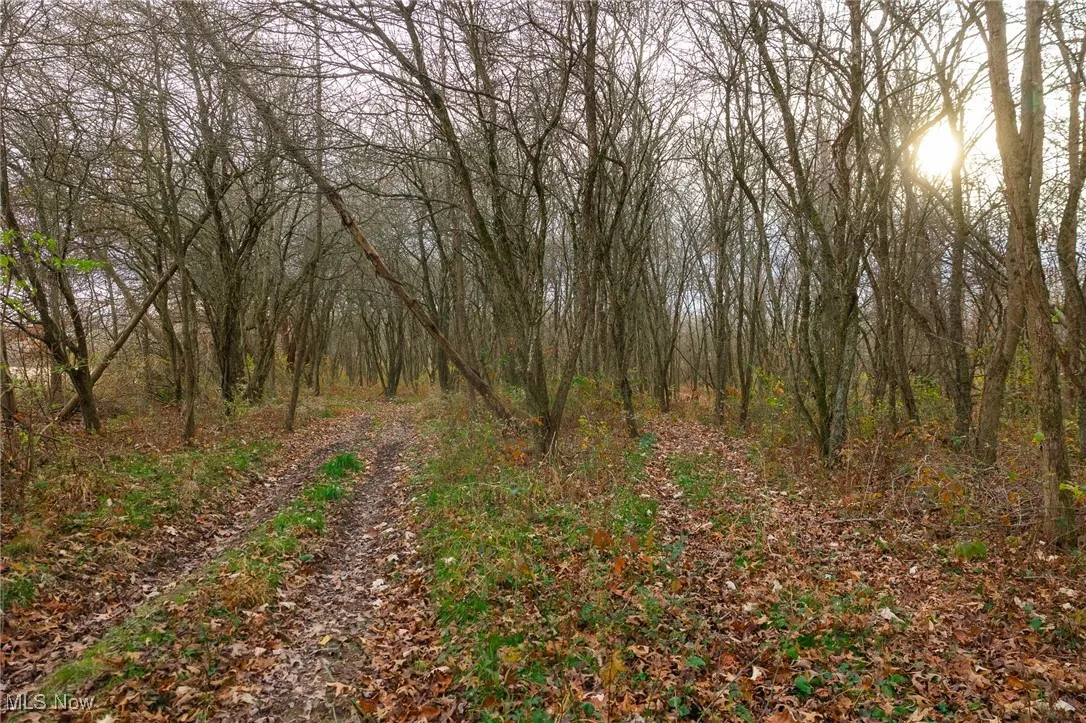 12160 Harvey Circle, Marshallville, Ohio 44645,MLS Now Listing ID