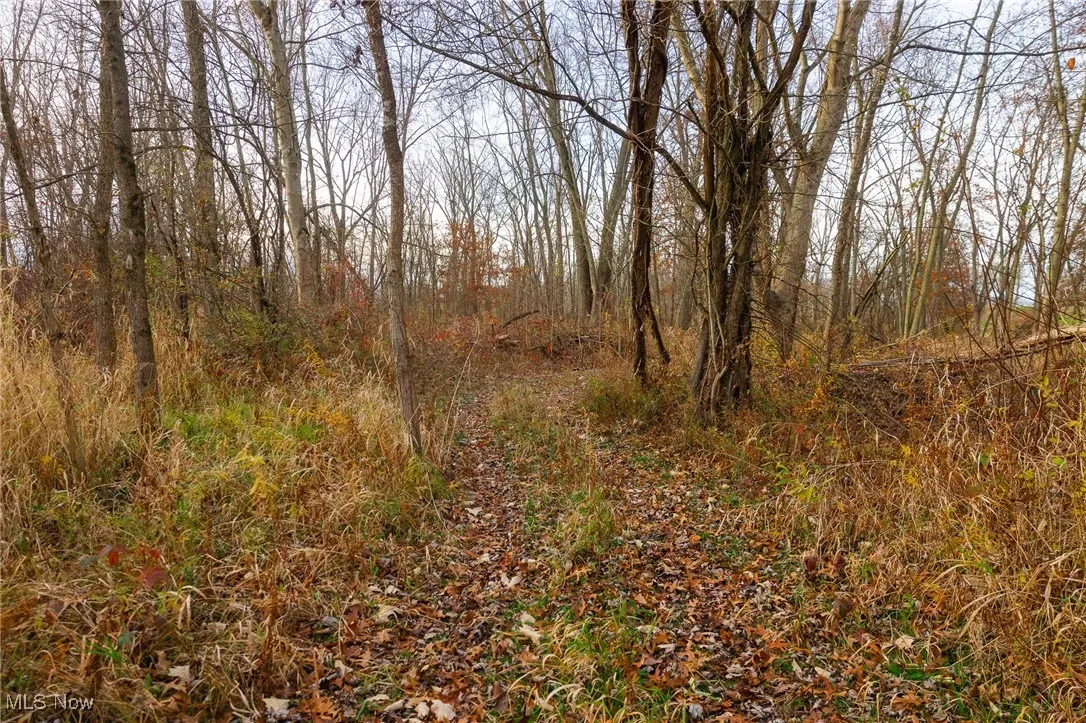 12160 Harvey Circle, Marshallville, Ohio 44645,MLS Now Listing ID