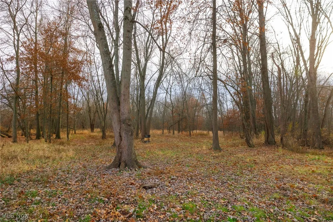 12160 Harvey Circle, Marshallville, Ohio 44645,MLS Now Listing ID