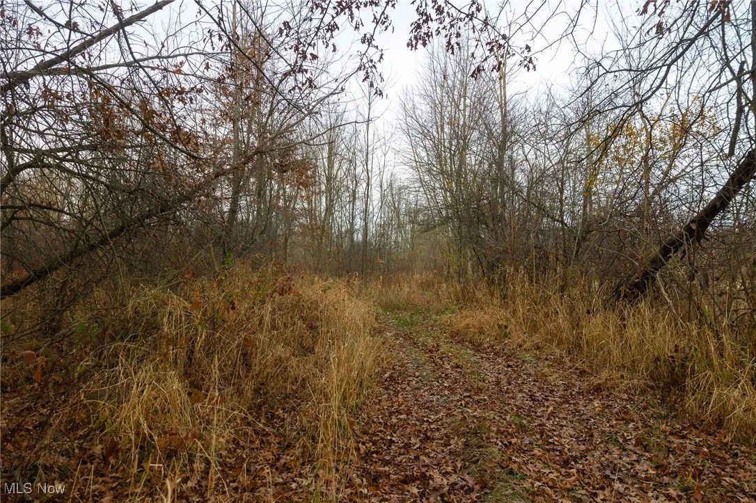 12160 Harvey Circle, Marshallville, Ohio 44645,MLS Now Listing ID