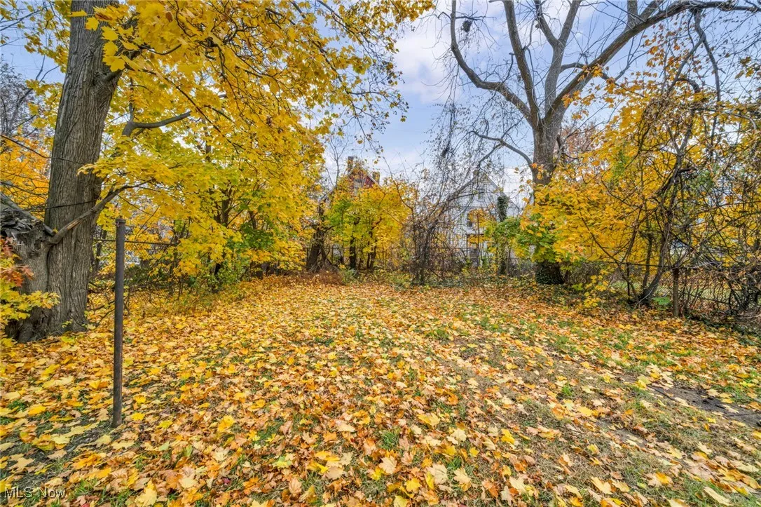 1333 E 82nd Street, Cleveland, Ohio 44103,MLS Now Listing ID