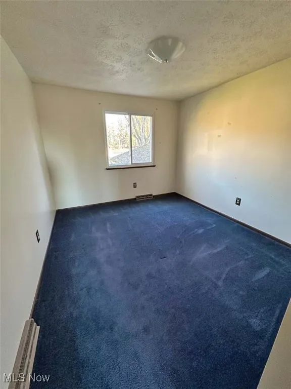 Empty room with carpet and a textured ceiling