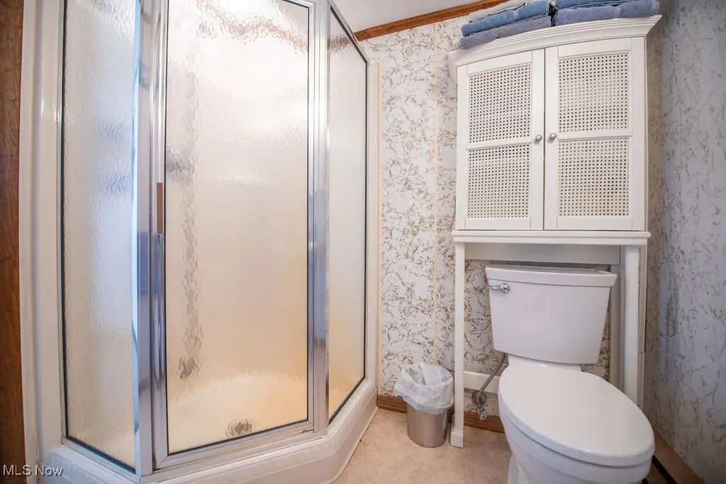 Full bath area in lower level