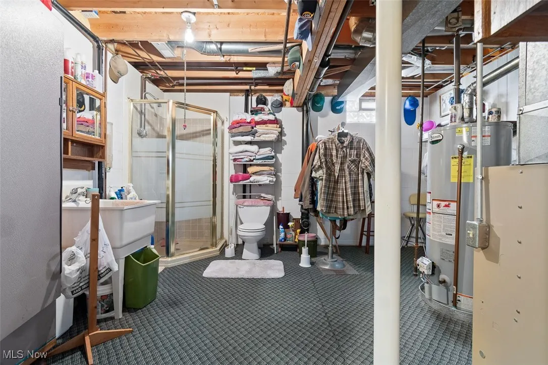 Basement area with a toilet and shower