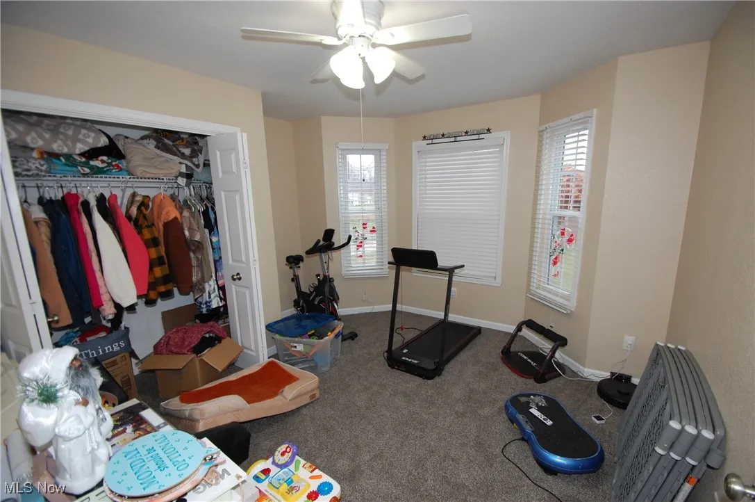 Exercise area with carpet flooring and a ceiling fan