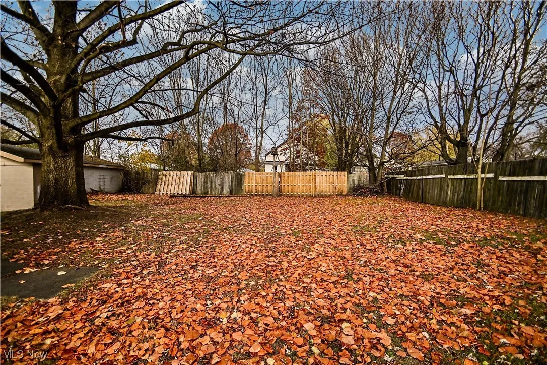 1199 Iona Avenue, Akron, Ohio 44314,MLS Now Listing ID