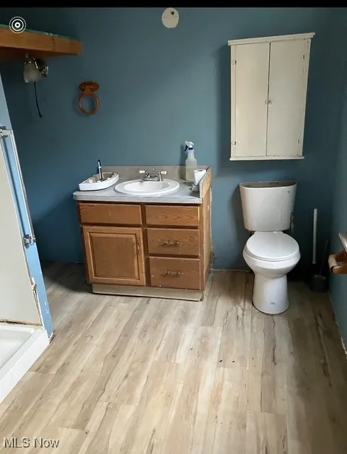 Bathroom featuring vanity and light wood-type flooring