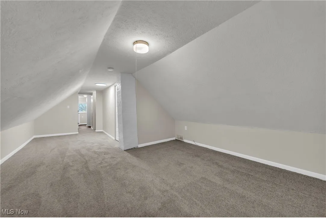 Additional living space with lofted ceiling, a textured ceiling, and light colored carpet