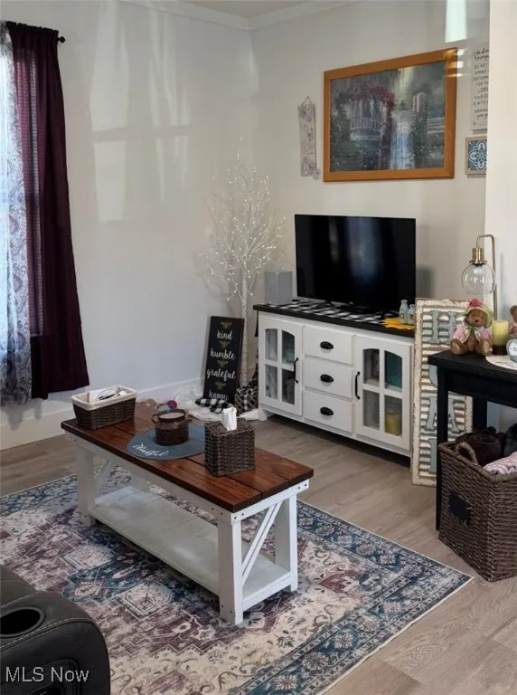 Living room featuring light wood-style flooring and crown molding