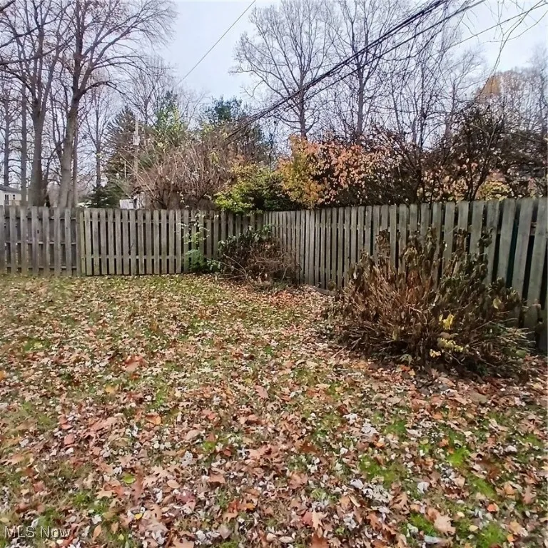 View of fenced backyard